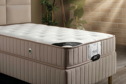 YANNIS (lit 1 personne)