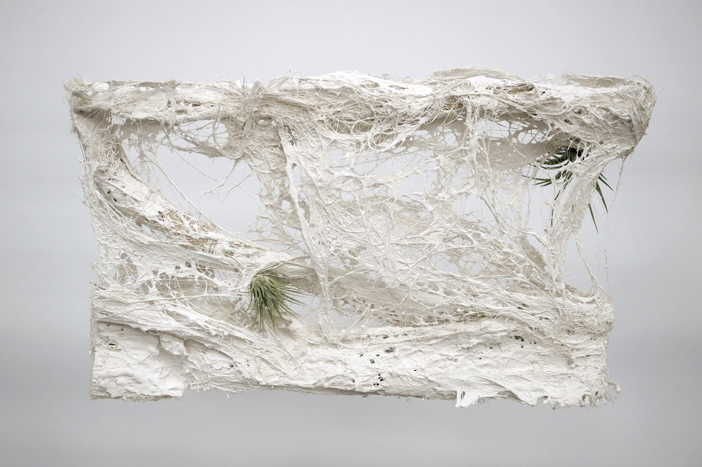 Sculpture organique en plâtre, sisal & tillandsia – Installation contemporaine (2024) | Meubles d'Or