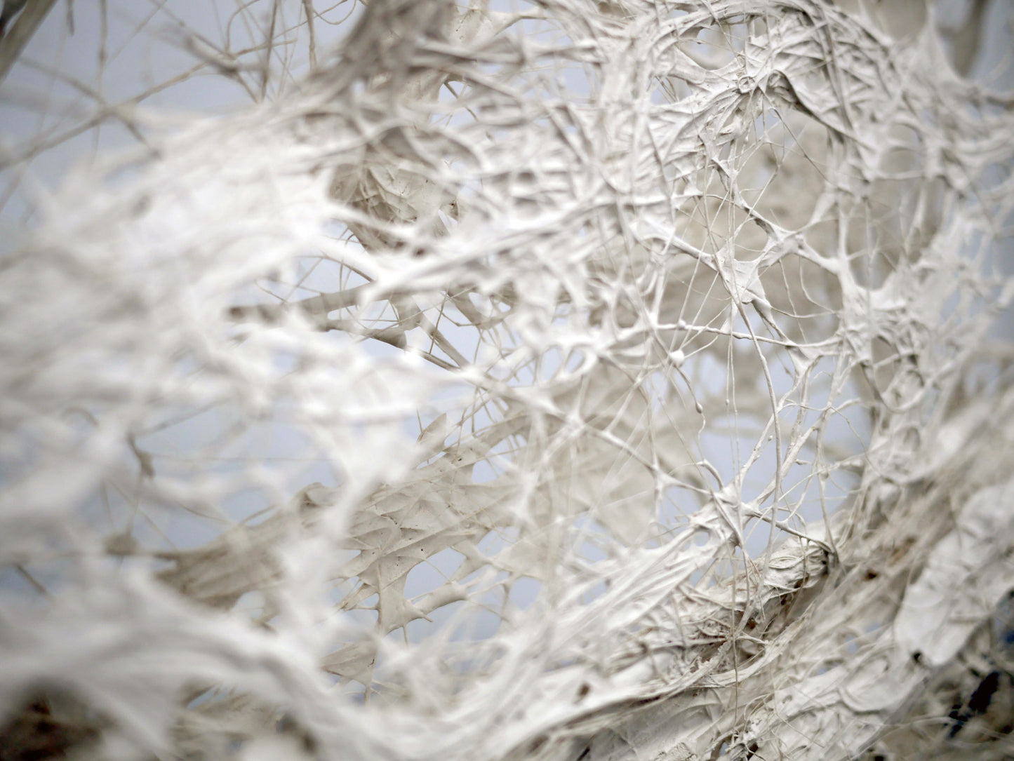 Sculpture organique en plâtre, sisal & tillandsia – Installation contemporaine (2024) | Meubles d'Or